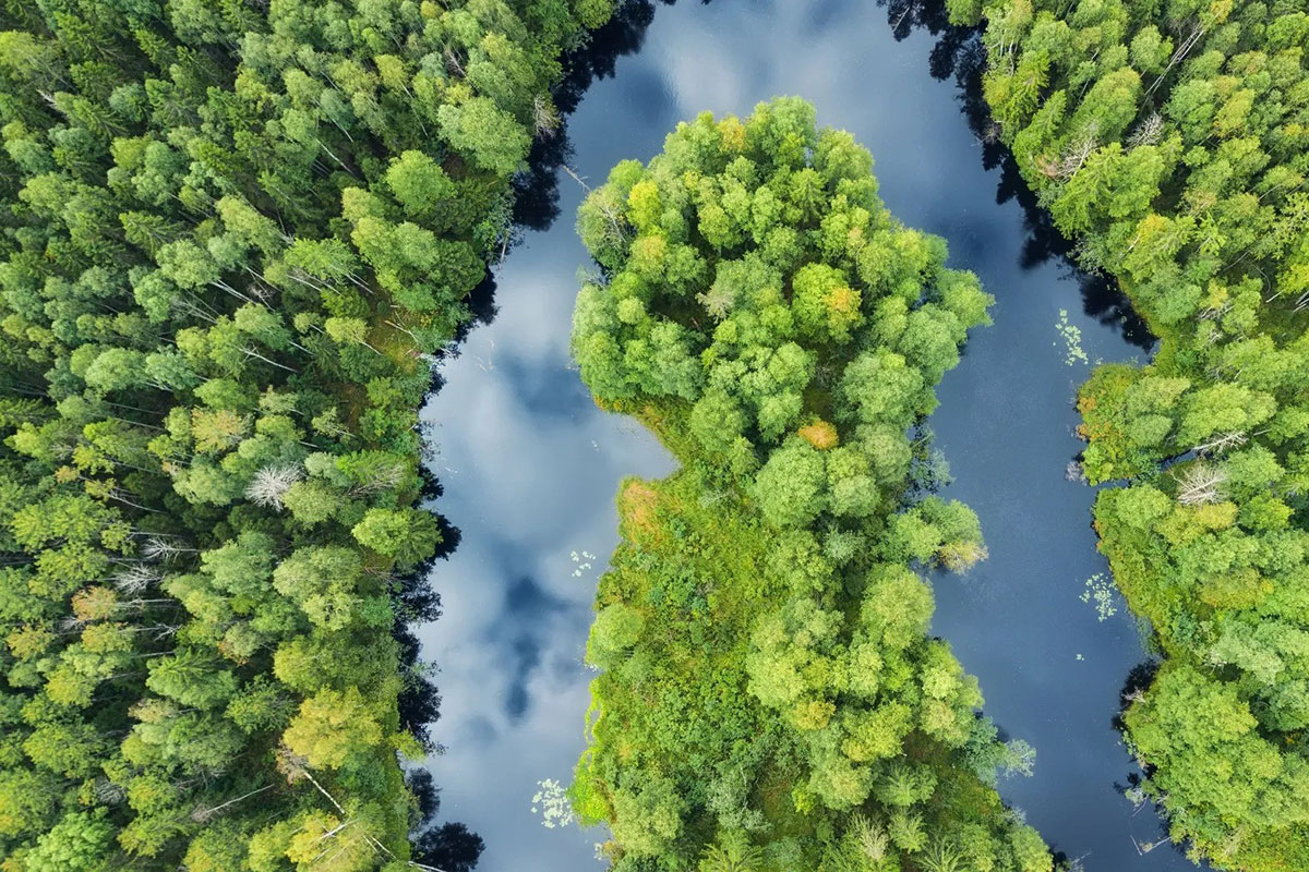 Environmental